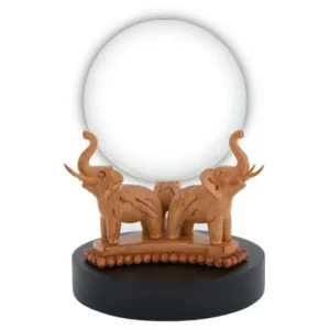 Universal Orlando Resort Divination Ball Replica* Replicas