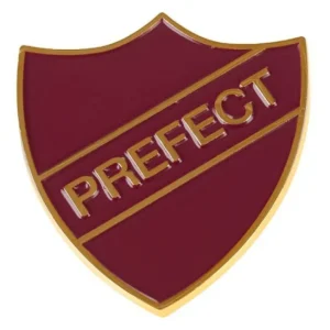 Universal Orlando Resort Gryffindor&trade; Prefect Pin* Hogwarts™ Essentials | Pins