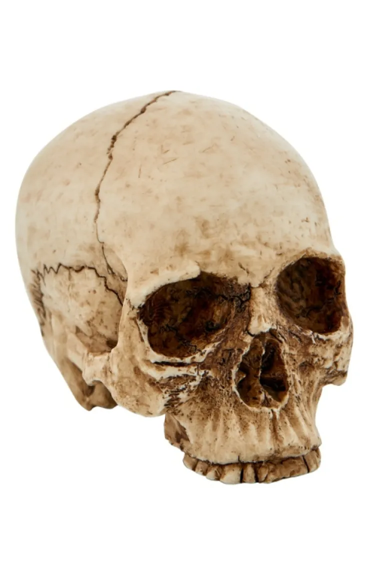 Universal Orlando Resort Miniature Decorative Skull* Home Decorations