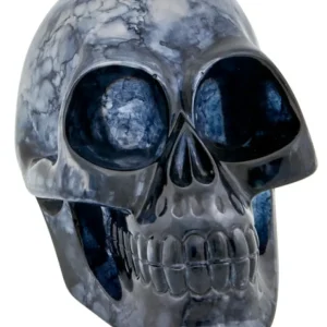 Universal Orlando Resort Translucent Black Decorative Skull* Home Decorations