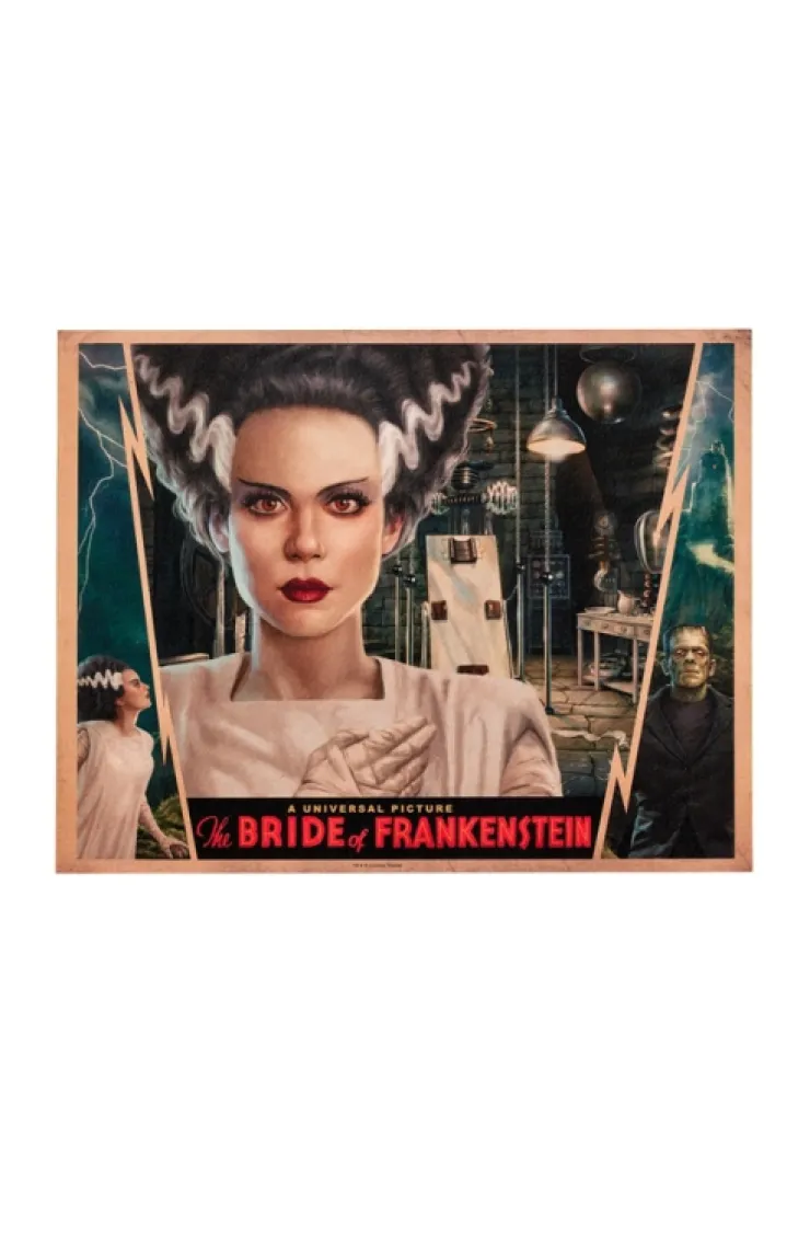 Universal Orlando Resort Universal Monsters Bride of Frankenstein Poster* Home Decorations